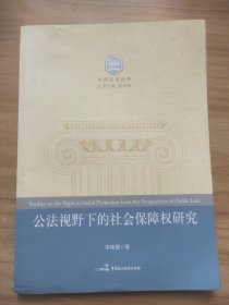 大国宪治丛书：公法视野下的社会保障权研究