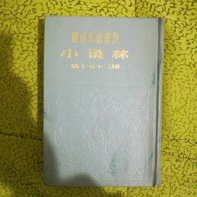 小说林4 (第十至十二期。后封里衬开裂，上书口稍有受潮，在意者勿拍，详见图)