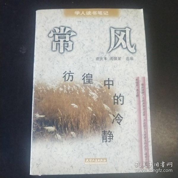 彷徨中的冷静