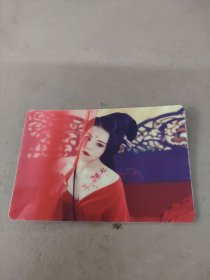 美女写真艺术单面钱包式卡片照片12片24041658