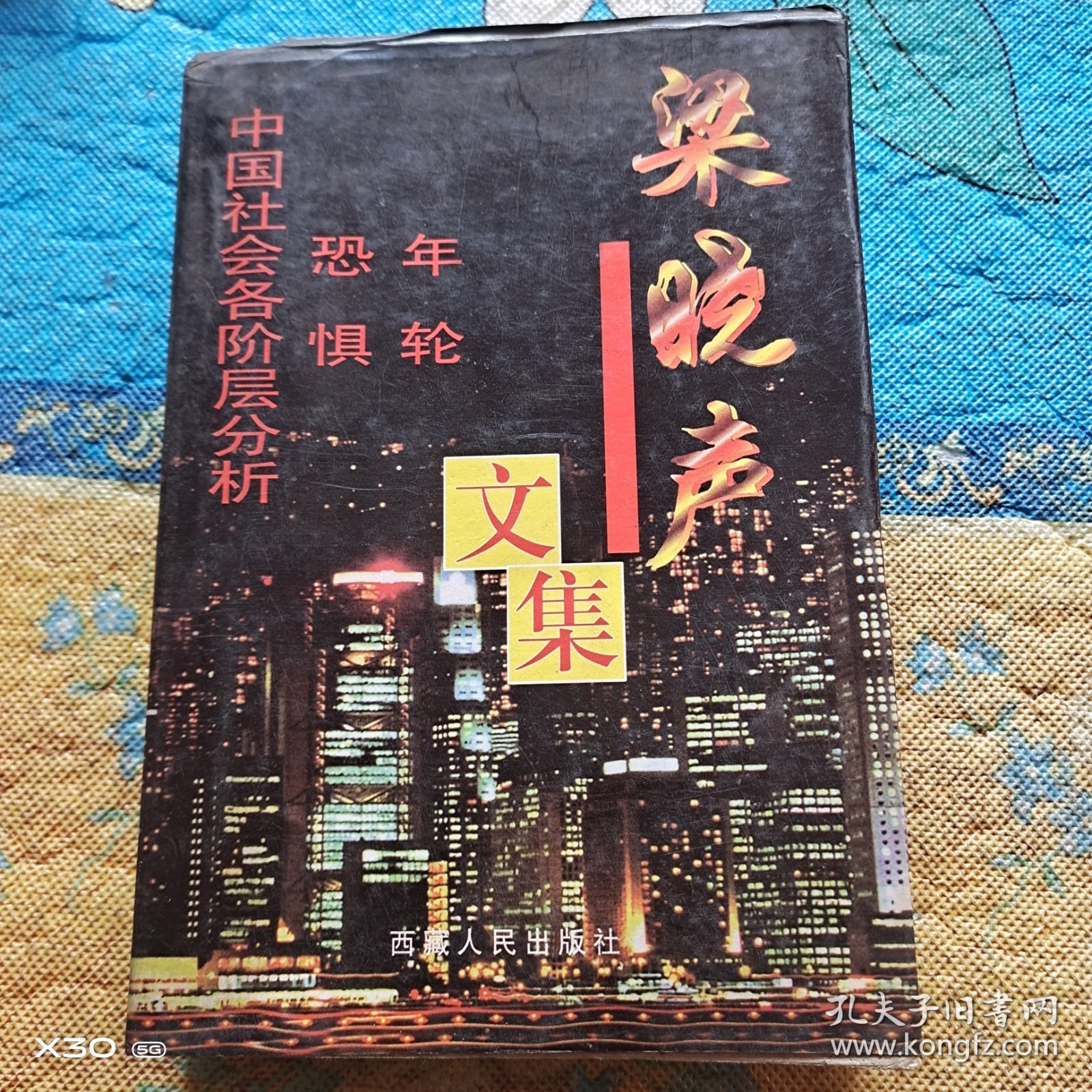 梁晓声文集