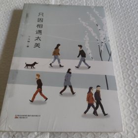 只因相遇太美（“暖心作家”丁立梅散文经典自选集, 中考语文阅读题热点作家）