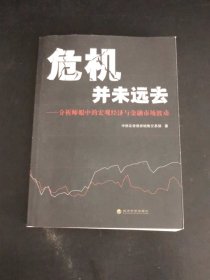 危机并未远去——分析师眼中的宏观经济与金融市场波动（书体变形）