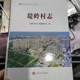 堤岭村志