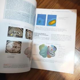 Neuroanatomy Text and Atlas, Fourth Edition (NEUROANATOMY TEXT & ATLAS (MARTIN))