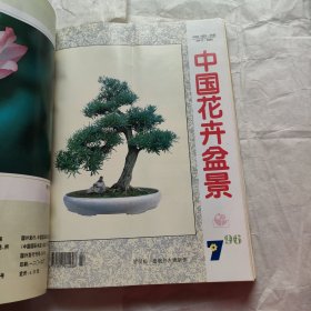中国花卉盆景 1996 1-12