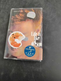 life is like a dream 张学友(存放8302室402层)