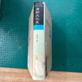 唐朝文化史