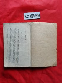 中国诗史（下册）。