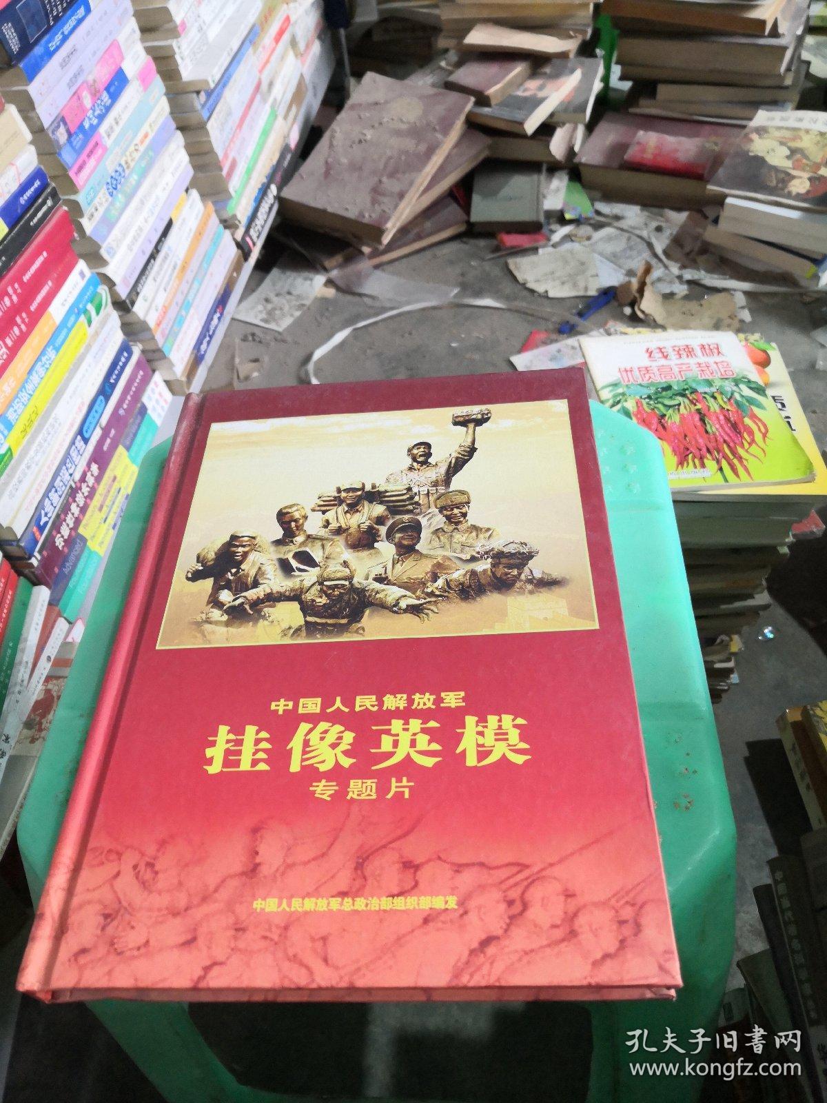 中国人民解放军卦象英模专题片【8碟装VCD】