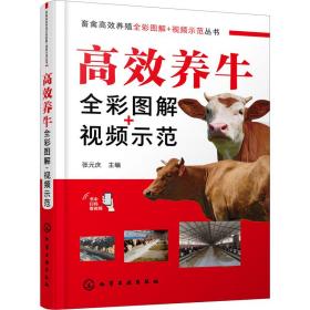 高效养牛全彩图解+示范 养殖 作者