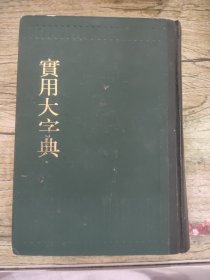 实用大字典