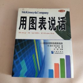 用图表说话：高级经理商务图表指南
