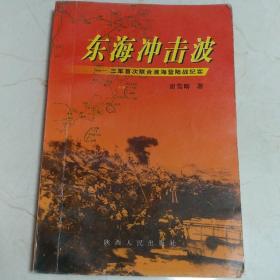 东海冲击波:三军首次联合渡海登陆战纪实