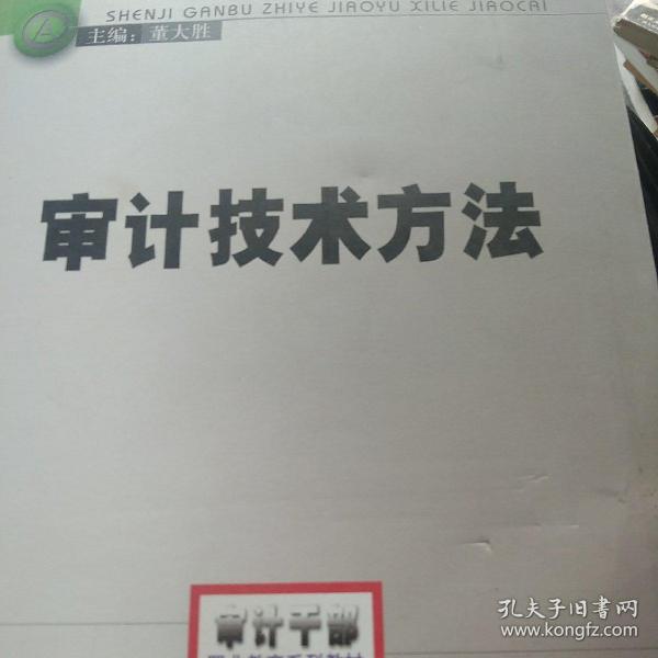 2014年高级审计师考试教材审计技术方法（沿用2013年版）