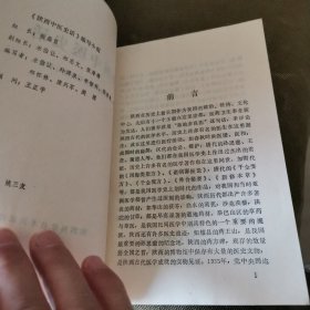 陕西中医史话