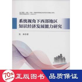 系统视角下西部地区知识经济发展能力研究