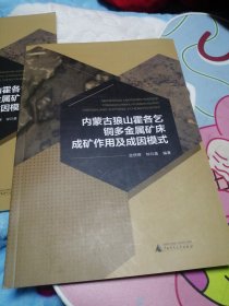 内蒙古狼山霍各乞铜多金属矿床成矿作用及成因模式