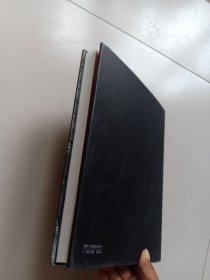 梧桐树后的老房子