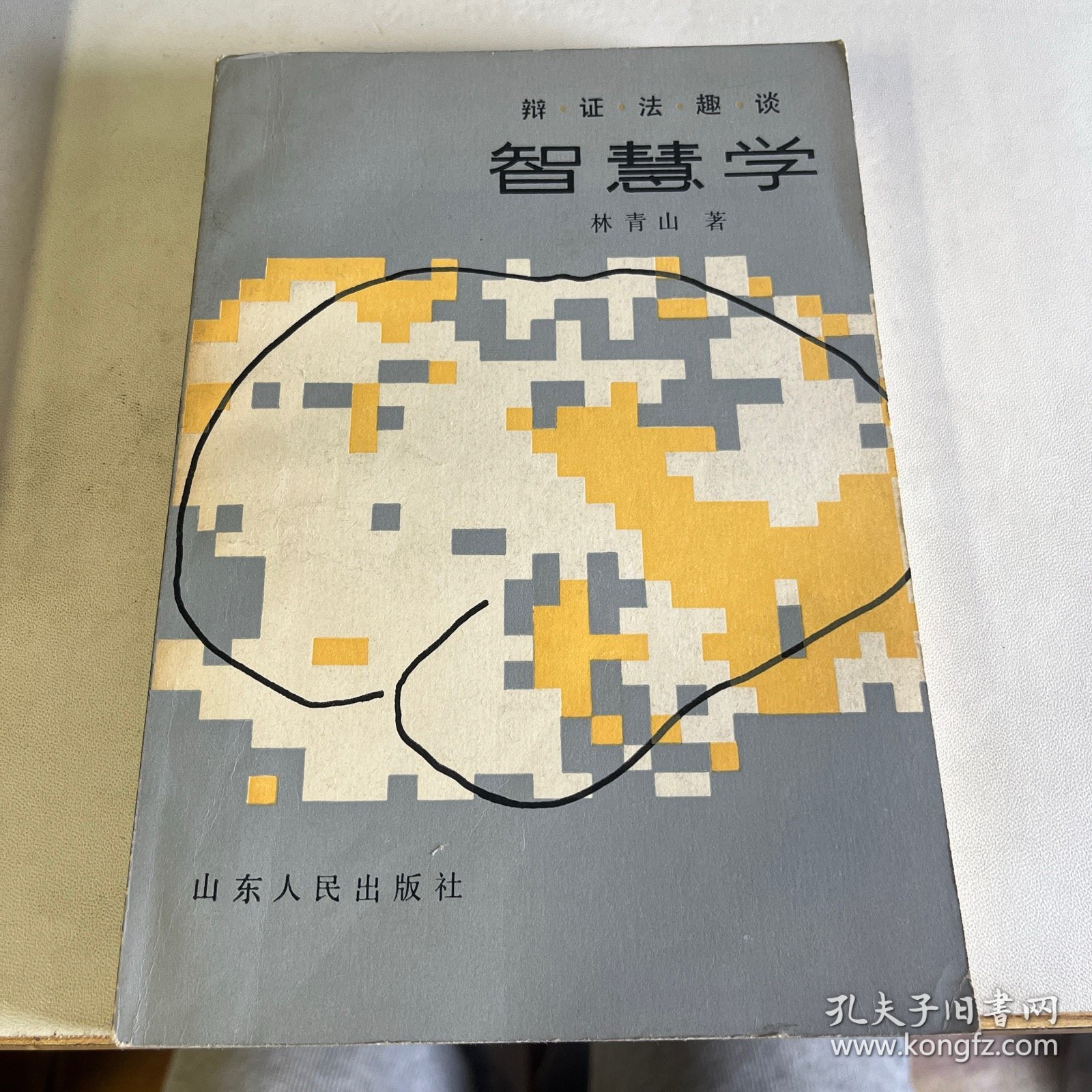 智慧学 辩证法趣谈