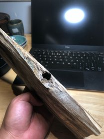 种植 奇楠香木料