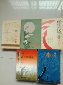 红色经典小说(共5本)超厚本