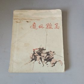 追风骏马