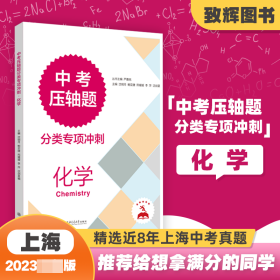 (上海)中考压轴题分类专项冲刺 化学