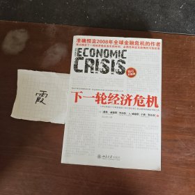 下一轮经济危机