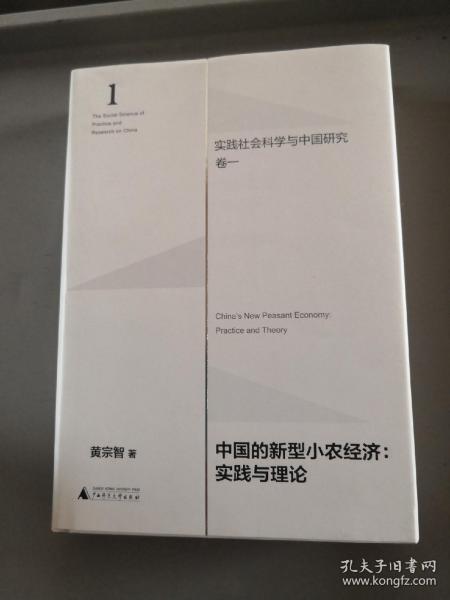 中国的新型小农经济：实践与理论（实践社会科学与中国研究·卷一）