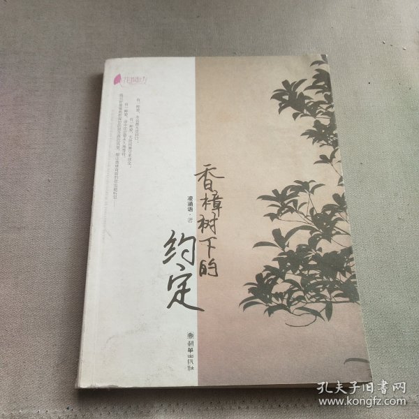 香樟树下的约定