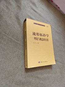 流形拓扑学：理论与概念的实质