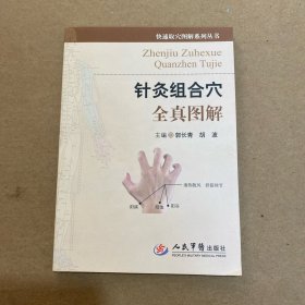 针灸组合穴全真图解