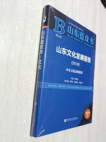 (2019)山东文化发展报告