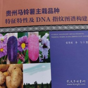 贵州马铃薯主栽品种特征特性及DNA指纹图谱构建雷尊国