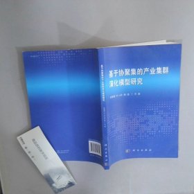 基于协聚集的产业集群演化模型研究