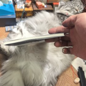 文史知识文库：词学名词释义