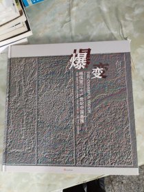 爆变杨佴旻二十一世纪中国画展