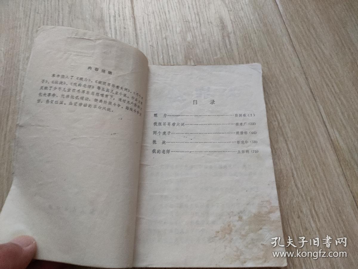 两个虎子