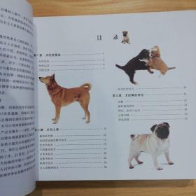 名犬百科全书