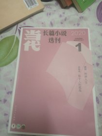 当代长篇小说选刊2020.1