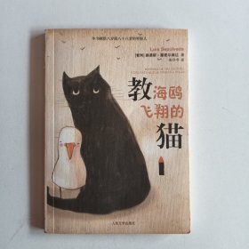 教海鸥飞翔的猫