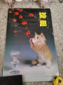 36挂历：猫趣 1992年1993年合 全13张