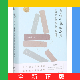 長(zhǎng)篇小說(shuō)的高度(茅盾文學(xué)獎(jiǎng)獲獎(jiǎng)作品精讀)(精)
