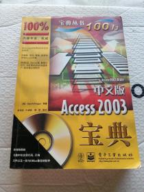 中文版Access 2003宝典