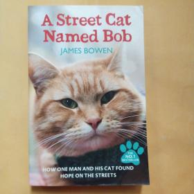 A Street Cat Named Bob：How one man and his cat found hope on the streets