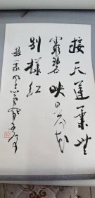 魏启后80年代大开门原装原裱精品，开三