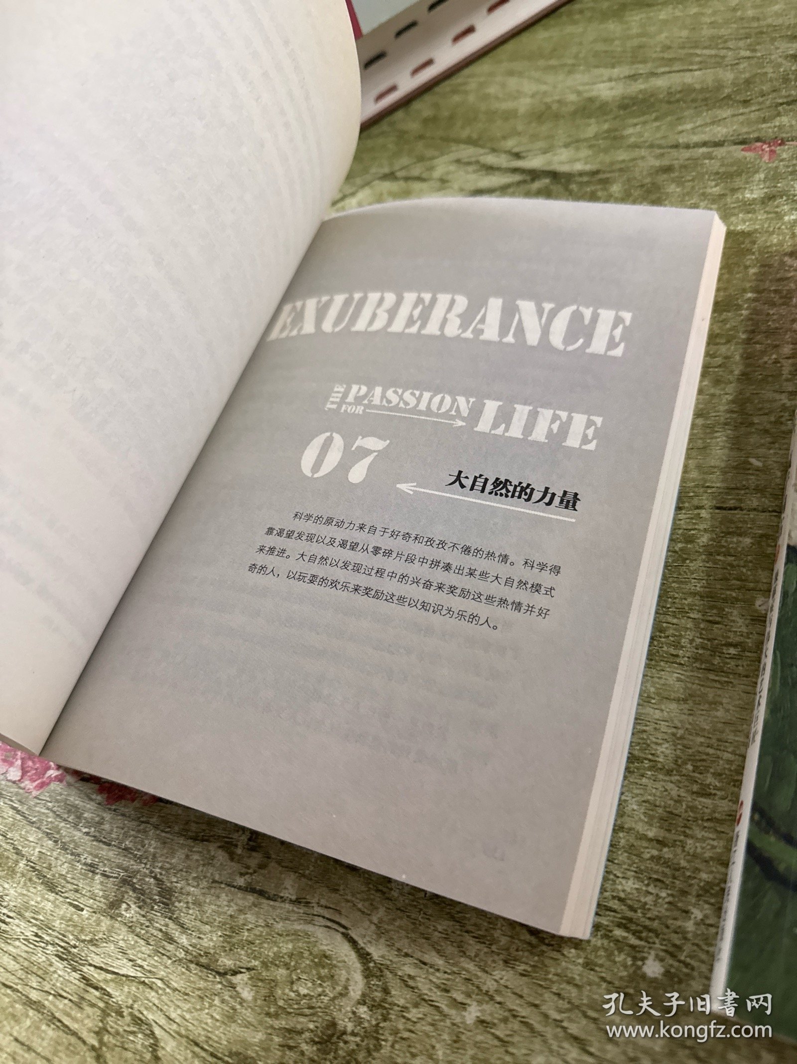 天才向左,疯子向右：躁郁症与伟大的艺术巨匠（上下）