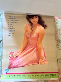 海南情 1990年挂历 全十三张