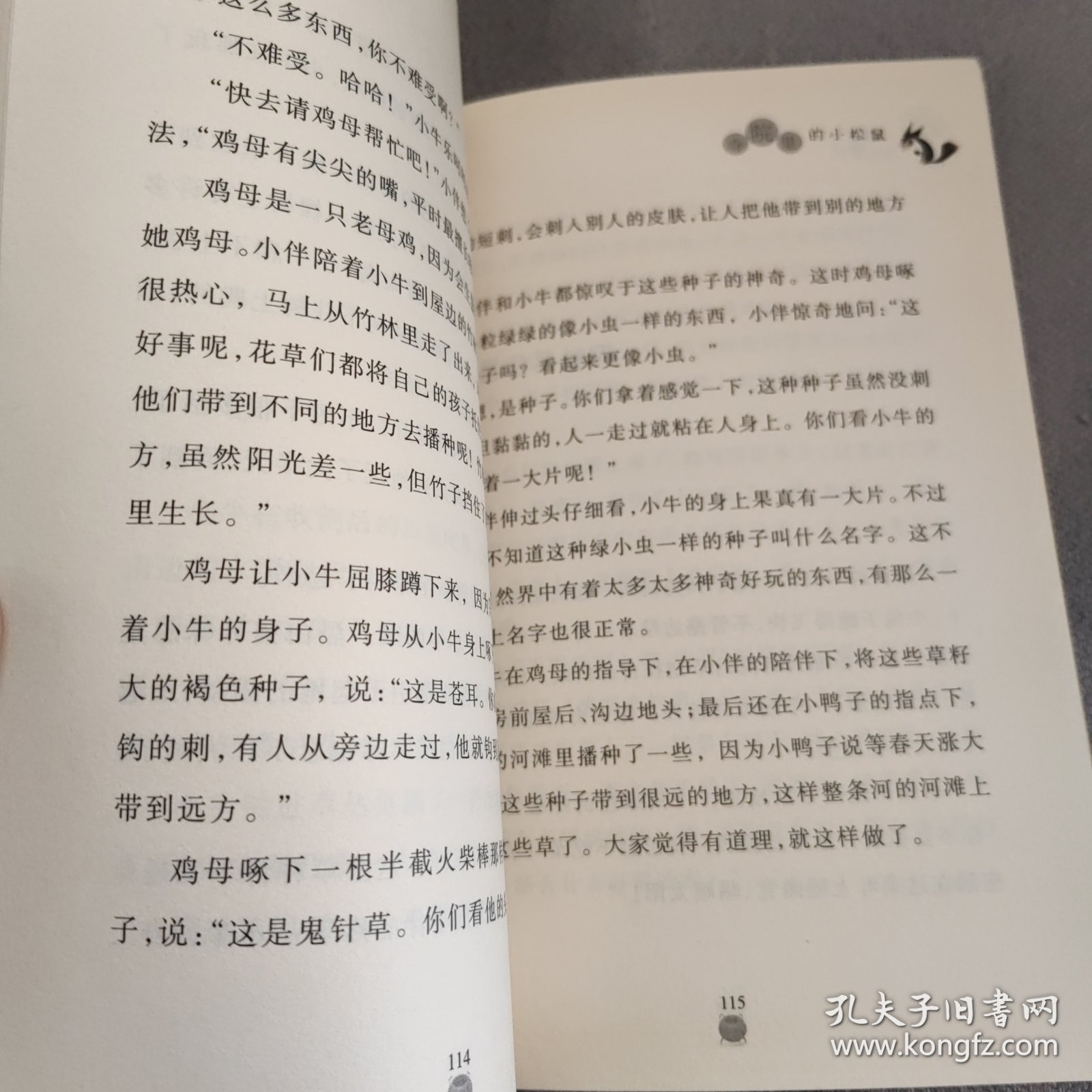 寺院里的小松鼠